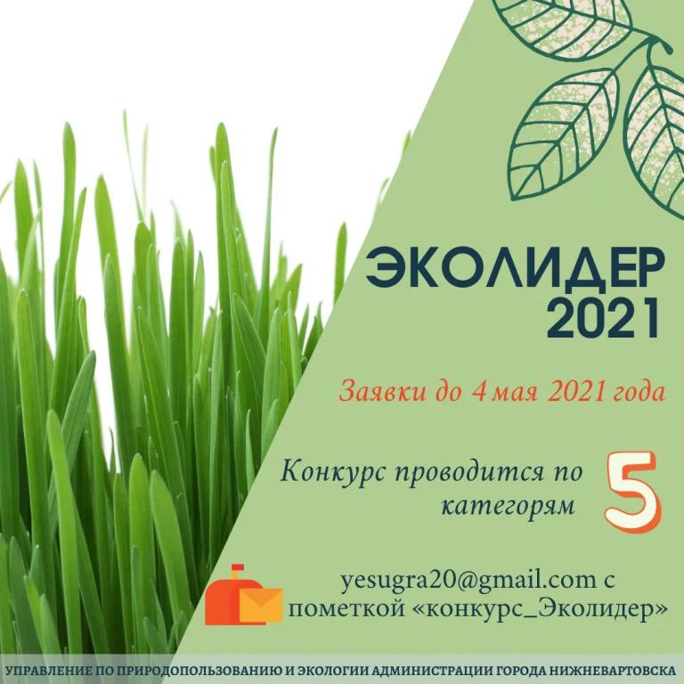 Окружной конкурс "ЭкоЛидер - 2021"