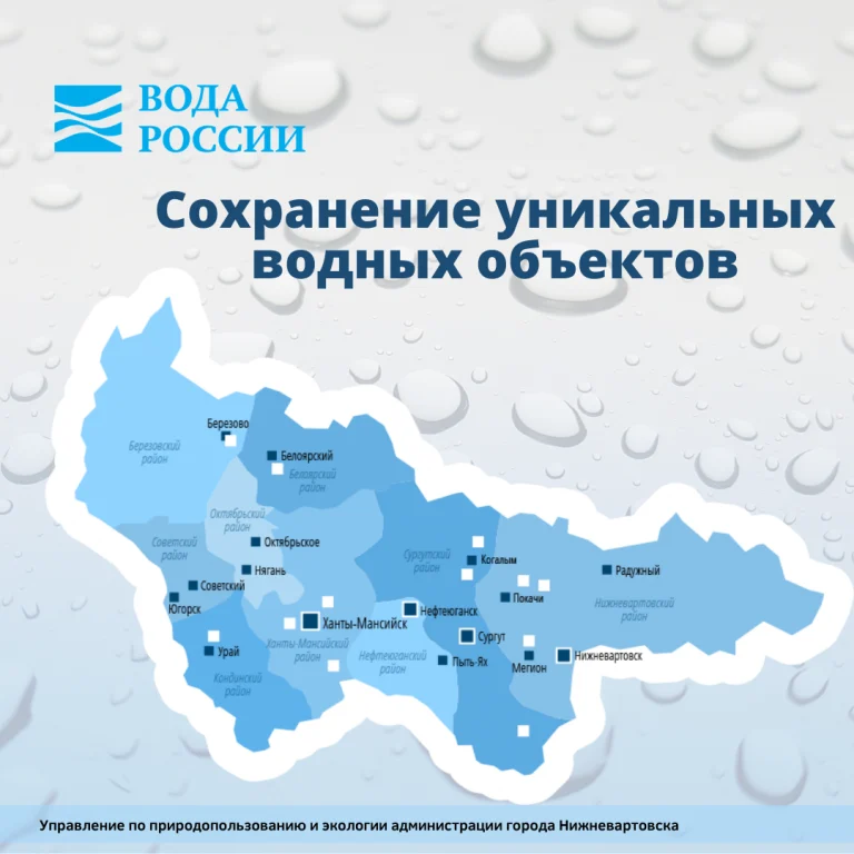 Региональный проект "Сохранение уникальных водных объектов"