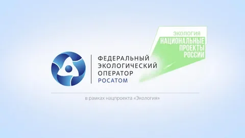 Вебинар по обращению с отходами I и II класса опасности проведет ФГУП «ФЭО»