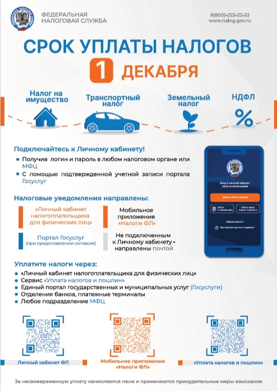 Срок уплаты налогов за 2024 год - 1 декабря 2025 года.