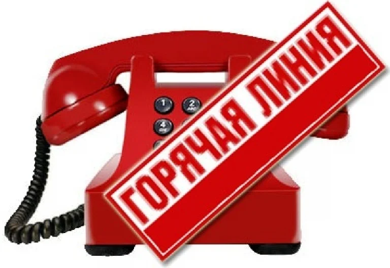 О проведении «горячей линии» по вопросам получения финансовой поддержки