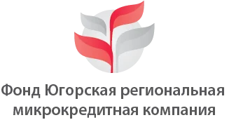О возможности получения финансовой поддержки в форме микрозайма