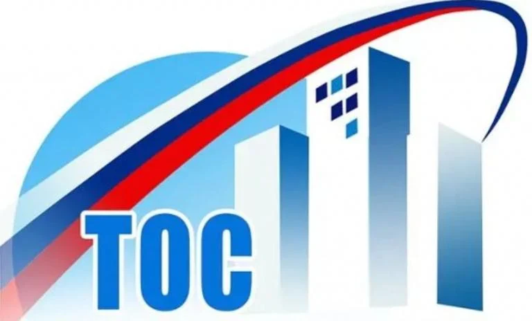 Консультативный семинар по программе: "Территориальное общественное самоуправление (ТОС): создание, регистрация, деятельность"