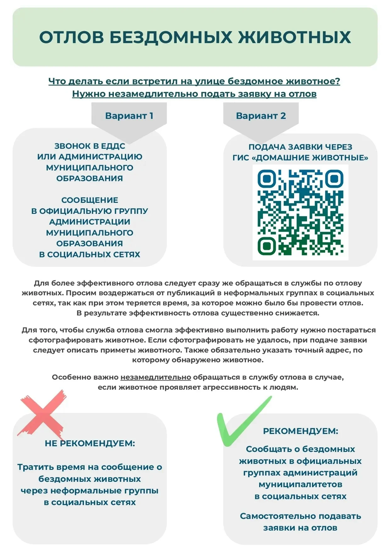 Алгоритм действий граждан при встрече с животными без владельцев