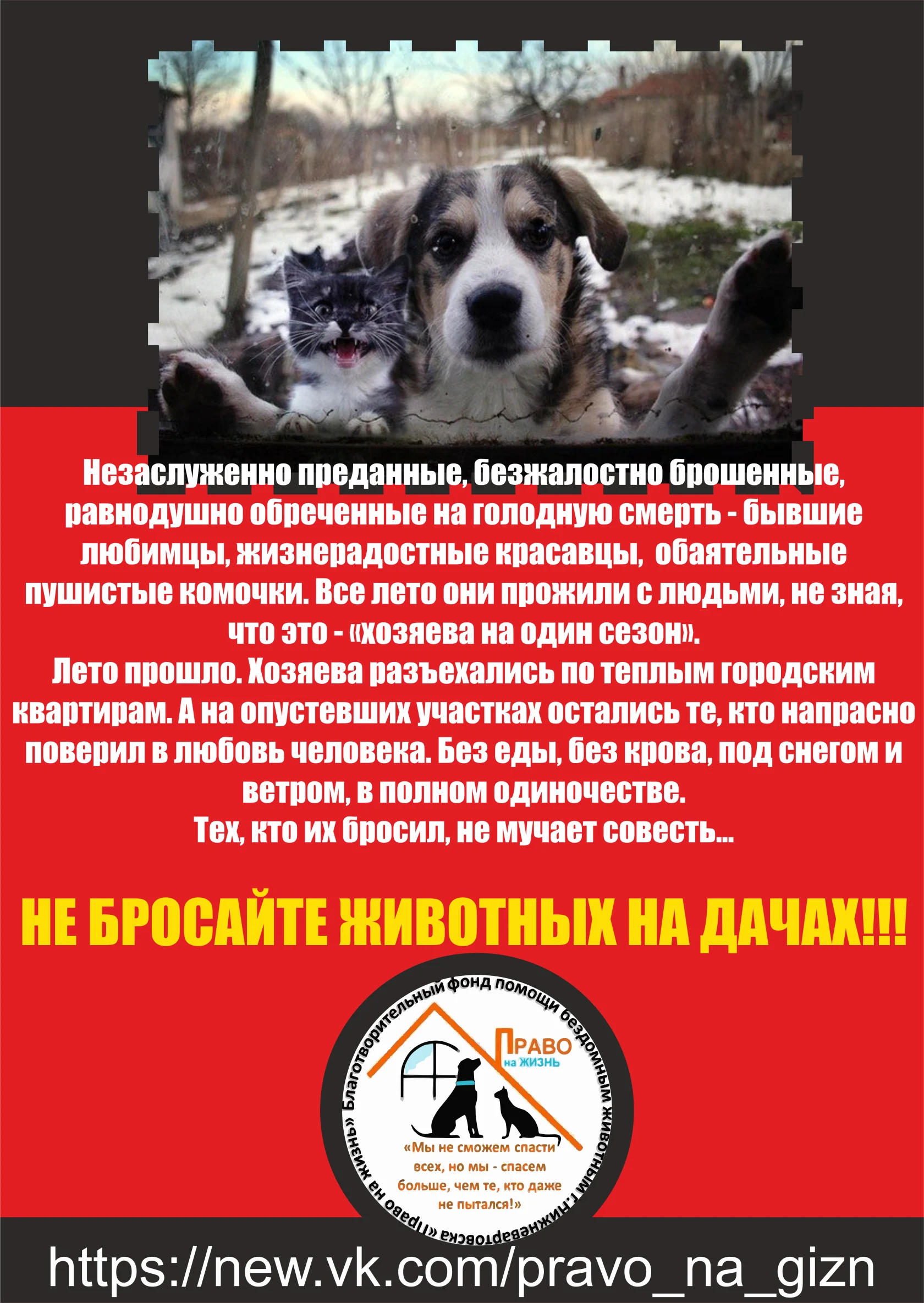 НЕ БРОСАЙТЕ ЖИВОТНЫХ НА ДАЧАХ