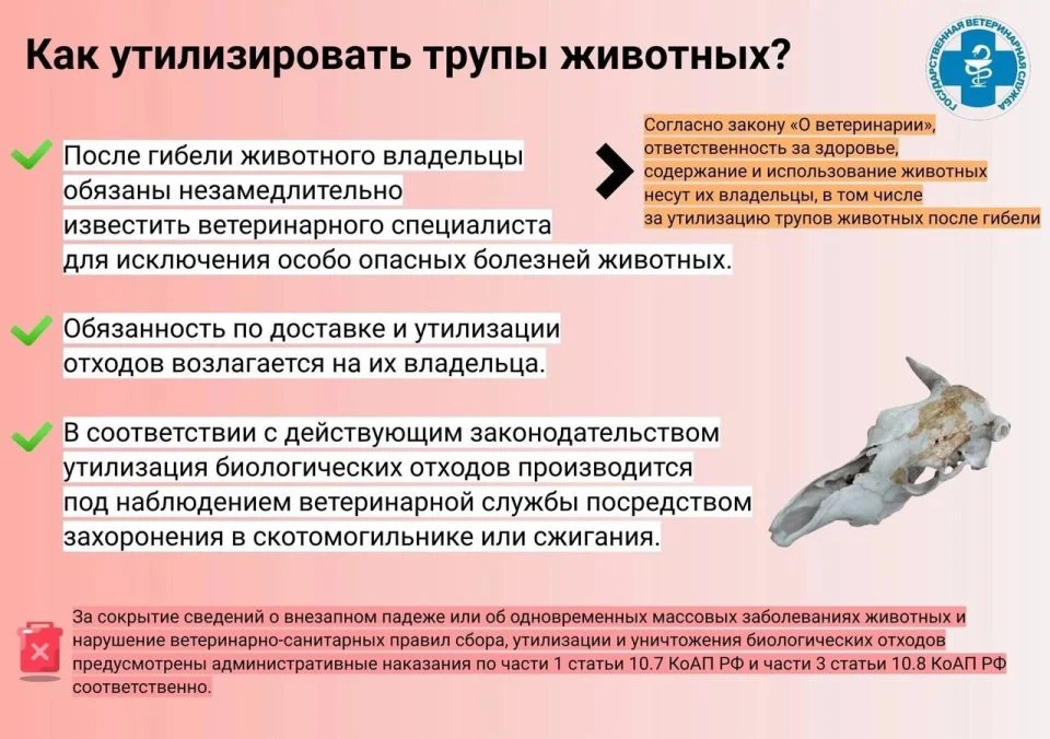 О порядке действий при заболевании, гибели животных и утилизации биологических отходов