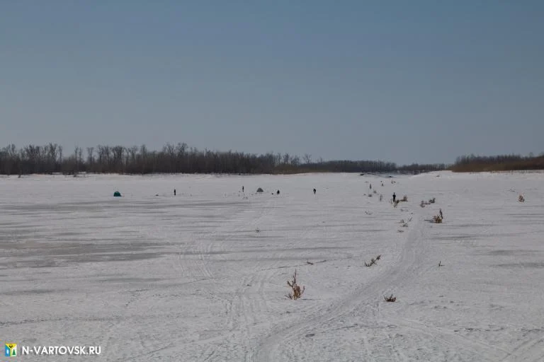 Уровень воды в реке Обь