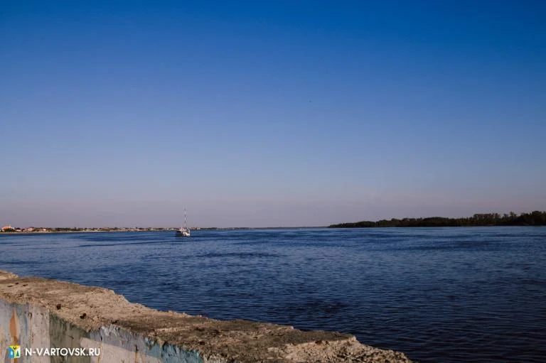 Уровень воды в реке Оби на 29 мая