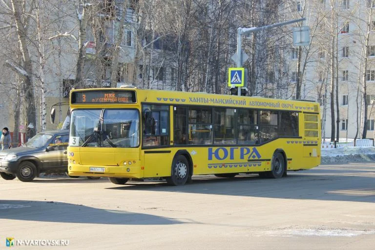 Штрафы для нарушителей режима самоизоляции
