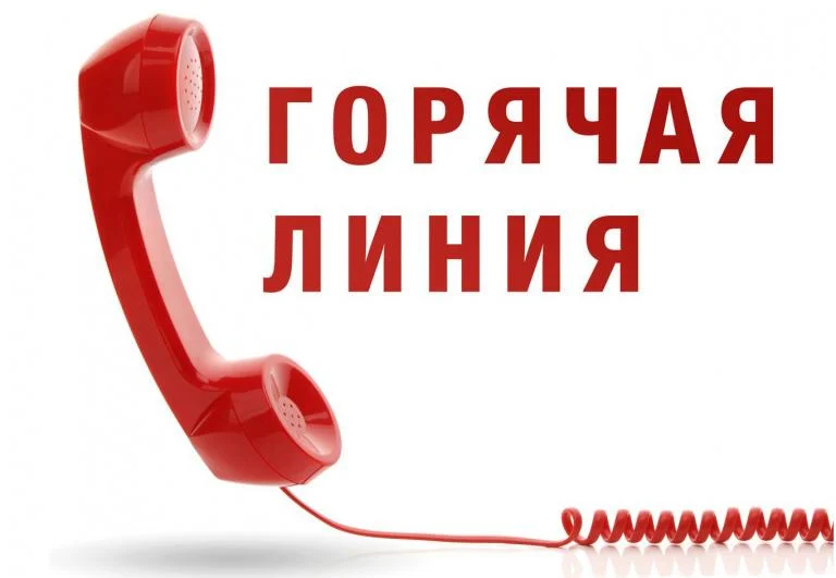 Горячая телефонная линия по выборам