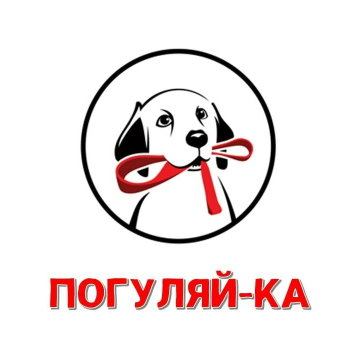 Новости ЖКХ: Нижневартовск присоединился к зоозащитной акции