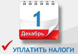 Приближается срок уплаты имущественных налогов - 1 декабря 2021 года